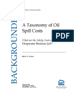 2010 - Taxonomy of Oil Spill Costs - Cohen