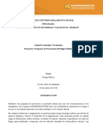 Unidad 5 Actividad 7 Evaluativa Programa de Prevencion Del Riesgo Publico