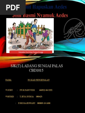 Nyamuk Aedes Pdf