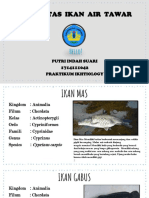 2.a Diversitas Ikan Air Tawar