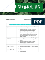 Reporte Semanal TES 4-9 Enero 2021