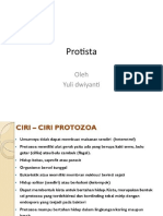 Protista