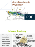 3 - FBS 45 - Internal Anatomy of Insects