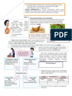 Ips Tema 2 Subtema 2