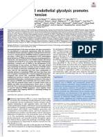 PFKFB3-mediated Endothelial Glycolysis Promotes Pulmonary Hypertension