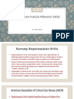 Peran dan fungsi perawat kritis