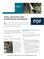 Feral and Stray Cats - An Important Difference: Behavior
