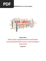 BSBWHS501 Ensure A Safe Workplace