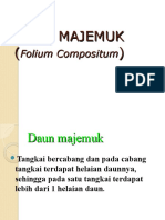 KULIAH 5 - Daun-Majemuk