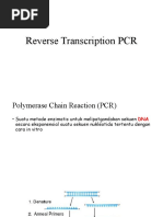 Reverse Transcription PCR