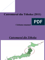 Cutremurul Din Tōhoku 2011