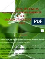 Aplan de Area de Ciencias Naturales y Medio Expocicion 2021 Nuevo