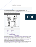 Sistem Muskuloskeletal Manusia