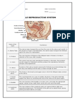 Clinical Significance