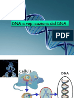 Replicazione Del DNA 