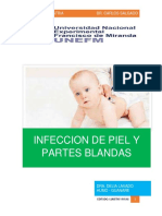 Infeccion de Piel y Partes Blandas