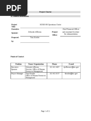 Project Charter Template 13