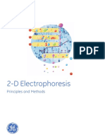 2D Eletrophoresis - Principles and Methods