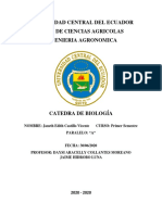 Semana 3 - 5 Especies Vegetales Que Contienen Carbohidratos Por Cada Región Del Ecuador