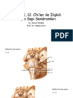 9, 10, 11, 12 Kranial Sinirler Ile Ilişkili Sendromlar