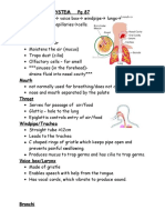 Respiratory System PG 87 Nostrils Throat Voice Box Windpipe Lungs Nose (Nostrils)