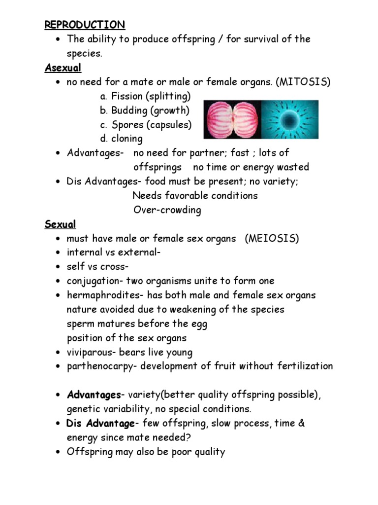 18 REPRODUCTION Animals | PDF | Sexual Reproduction | Menstrual Cycle