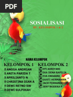 Download SOSIALISASI by efi adriyani SN49176523 doc pdf