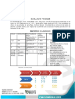 Bachillerato Por Ciclos