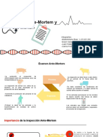 Antes Mortem Post Mortem