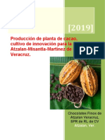 Resumen Ejecutivo Cacao
