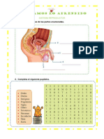 Ficha 103 de Cyt.