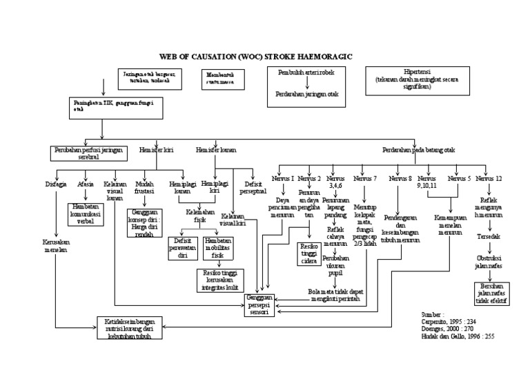Pathway Stroke Hemoragic | PDF