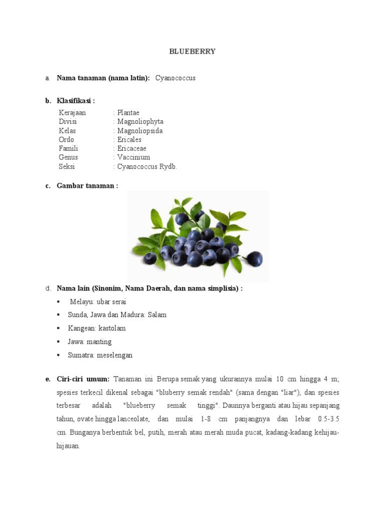 Manfaat dan Ciri-Ciri Blueberry | PDF