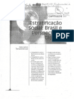 BRYM, Robert Et. Al. Estratificação Social - Brasil e Perspectivas Globais. P. 178-210.