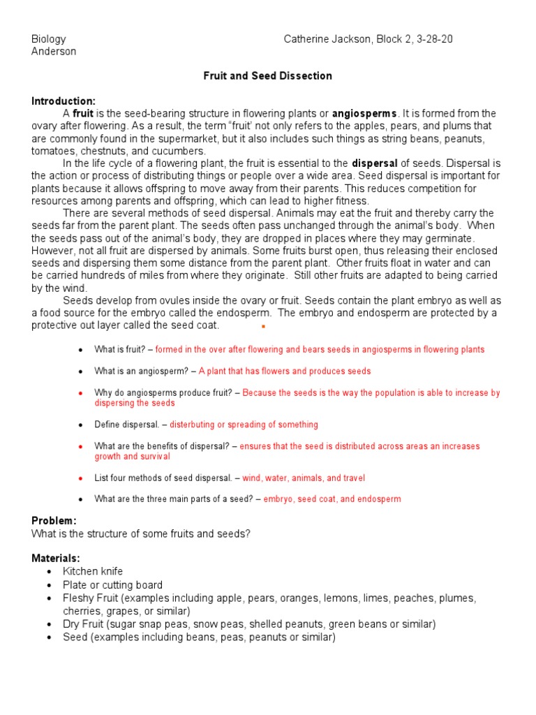 Fruit and Seed Dissection LAB PDF