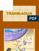 Translacija