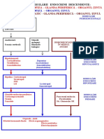 Fiziopatologie Hiper Si Hipocorticism