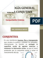 Conjuntivitis Crónica - Corregido