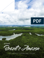 Brazil's Amazon: Co-Impact Sourcing Story