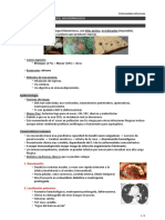 33. Histoplasma, Criptococo, Mucomicosis