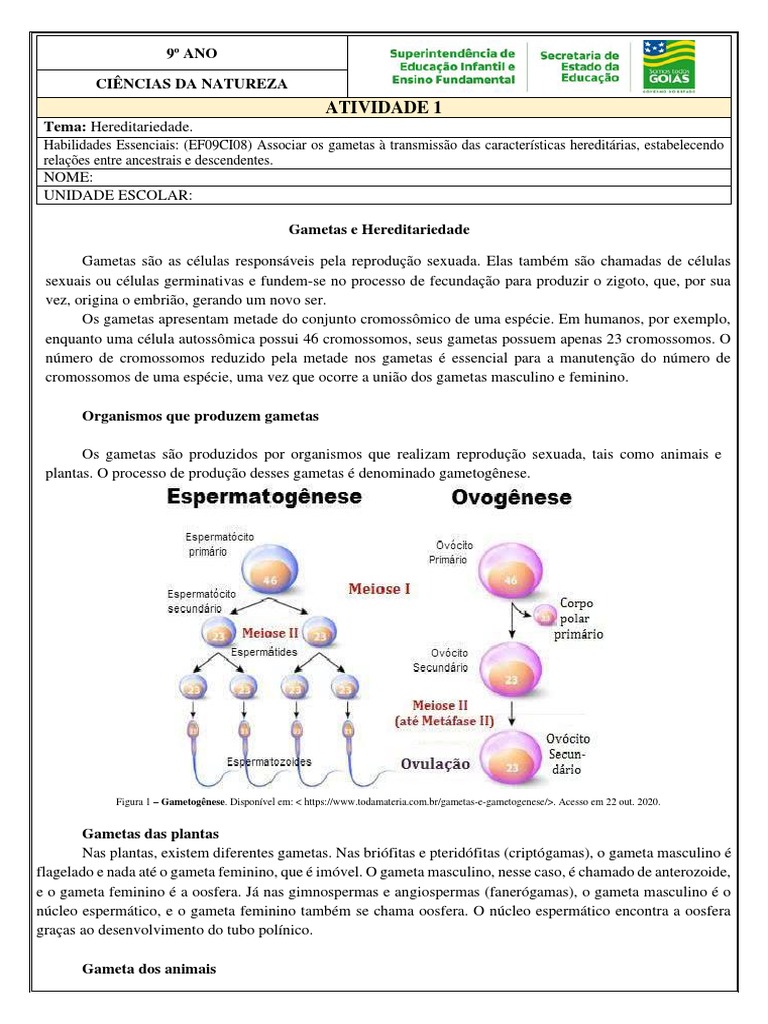 9o CIE Atividade 1 Hereditariedade 15 | PDF | Fertilização | Cromossomo