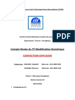 TP Convec-Diff