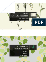 Tema 3. Las Plantas