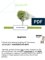 Cell Injury3 (Apoptosis)