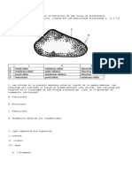 Estructura de Una Celula. Avigail.