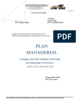 Plan Managerial Chiscani 20182019