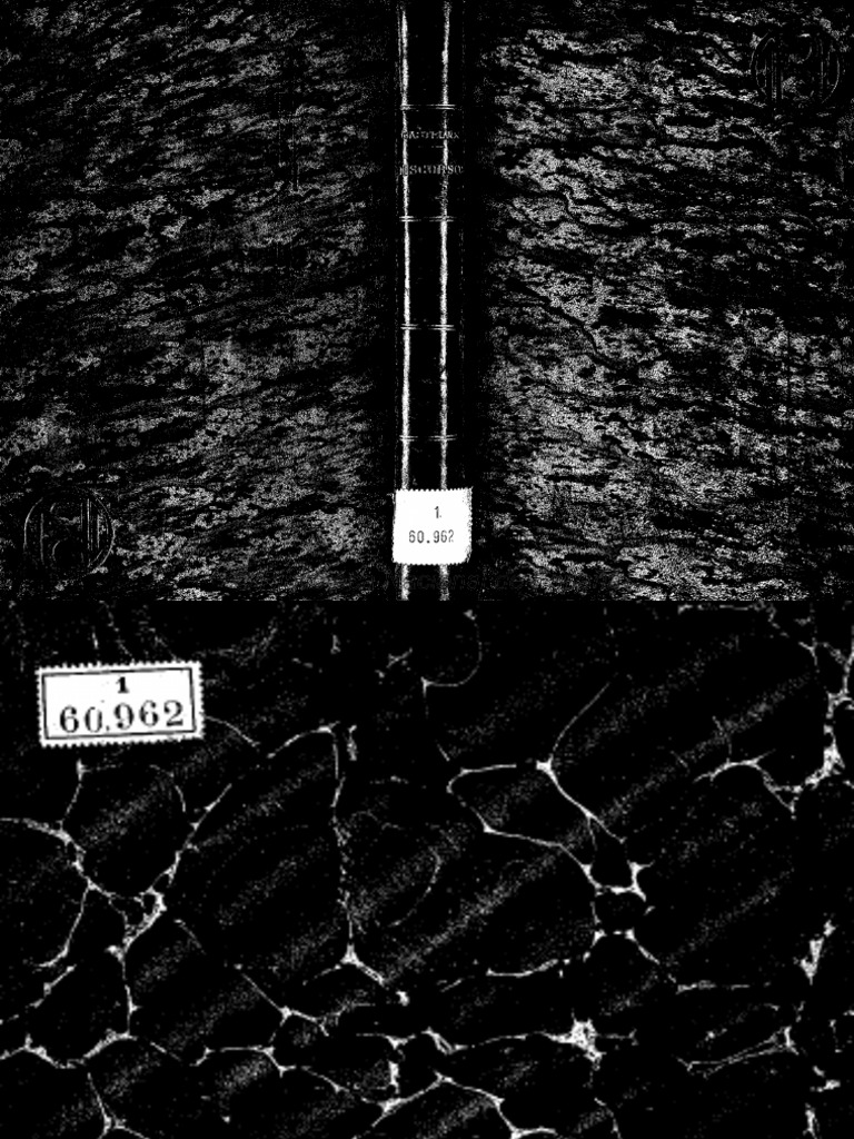 DiscursoqueD  EmilioCastelardijoenelCongresodelosDiputados7defebrerode1888Textoimpreso |  PDF | Iglesia Católica | Francia