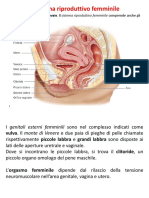 A2.4a - Fisiopatologia Degli Apparati Riproduttori (24-10-2019)