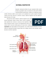 Aparatul Respirator