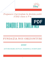 IO2_Comorile-din-familia-mea-Fundația-Noi-Orizonturi